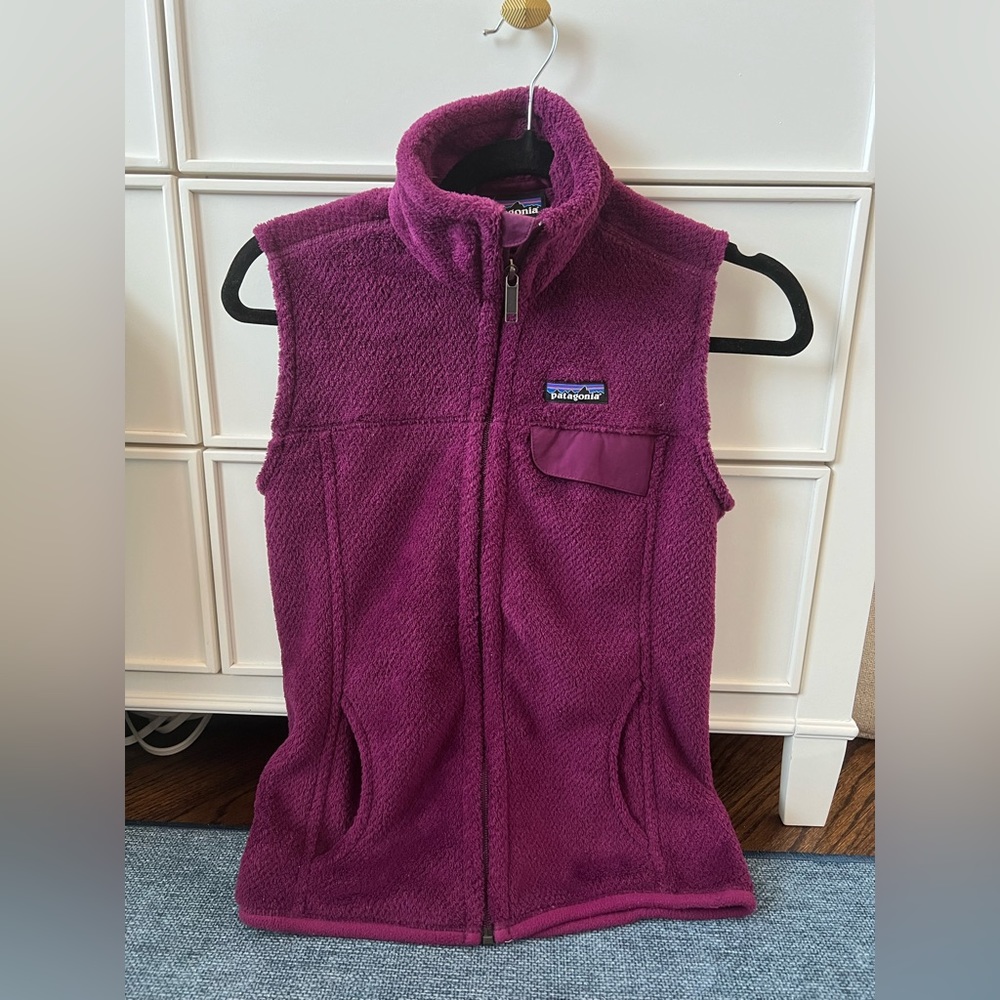 Patagonia Gatos Vest Purple